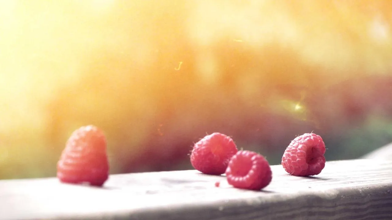 Comparatif des meilleures vitamines C 2026
